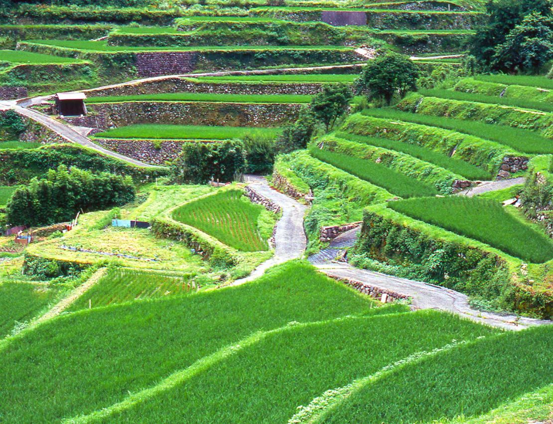 Uchinari Tanada Rice Terraces